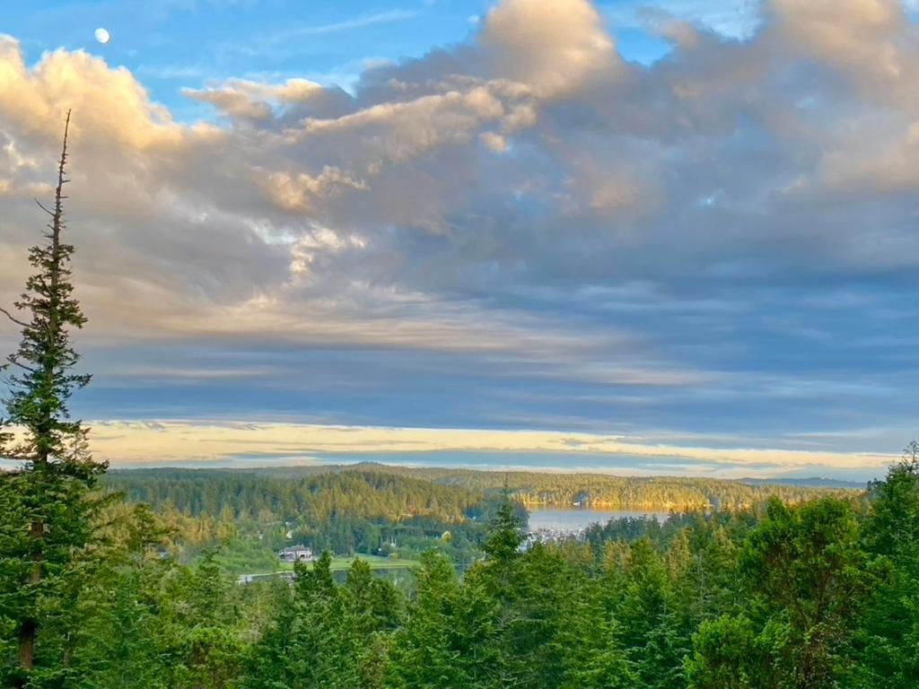 Madrona Suite Eastsound Exteriér fotografie